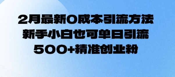 2月最新0成本引流方法，新手小白也可单日引流500+精准创业粉-云创堂