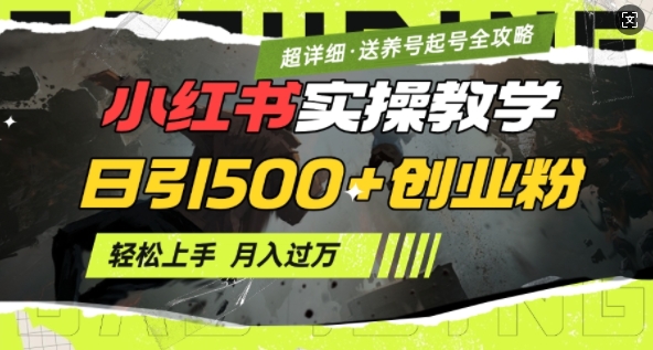 2月小红书最新日引500+创业粉实操教学【超详细】小白轻松上手，月入1W+，附小红书养号起号SOP-云创堂