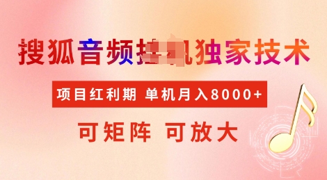全网首发搜狐音频挂JI独家技术，项目红利期，可矩阵可放大，稳定月入8k【揭秘】-云创堂
