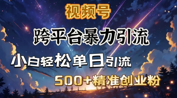 跨平台暴力引流，私域完美闭环，日引500+精准创业粉-云创堂