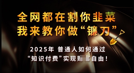 知识付费如何做到月入过W+，2025我来教你做“镰刀”【揭秘】-云创堂