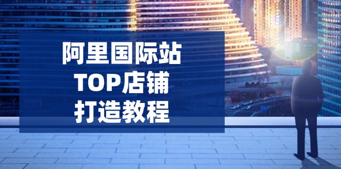 阿里国际站TOP店铺打造教程：涵盖平台到高阶，解决运营难题，提升询盘-云创堂