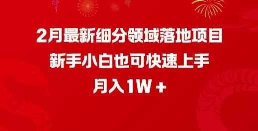 2月最新细分领域落地项目，新手小白也可快速上手，月入1W-云创堂