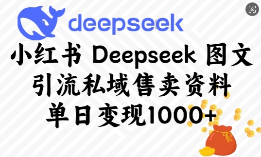 小红书Deepseek图文引流私域售卖资料，单日变现多张-元数科技