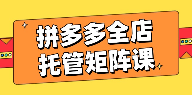 拼多多全店托管矩阵课，盈利动销玩法，高效计划设置，提升店铺效益-云创堂